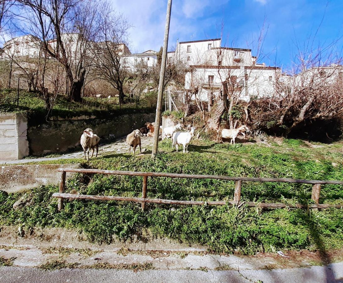 Le Origini Casa In Borgo Tipico Lucano Trivigno Экстерьер фото